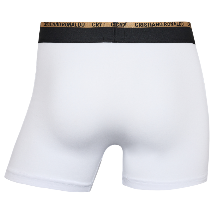 CR7 Trunks - 6 Pack Herren (multicolour)