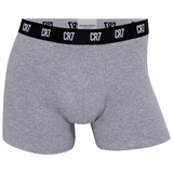 CR7 Trunks - 10 Pack Herren (multicolour)
