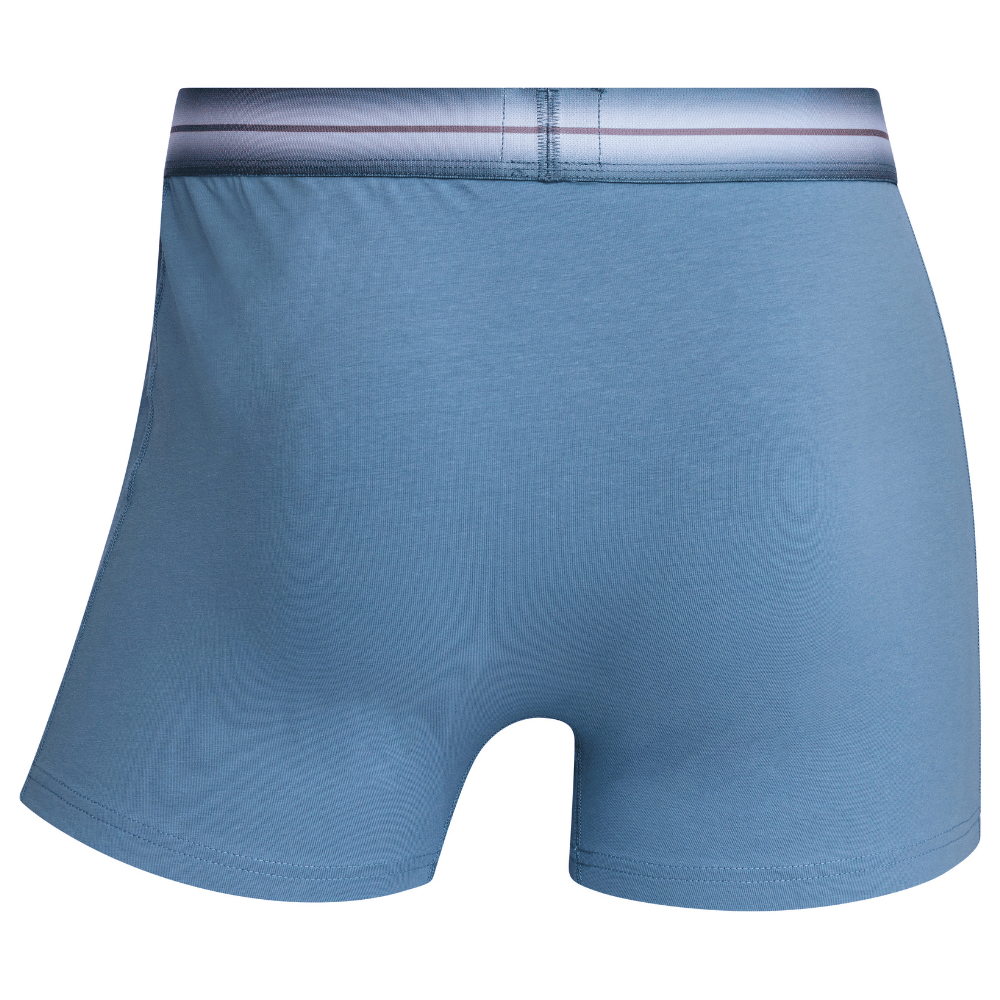 CR7 Trunks - 5 Pack Fashion Men + Reisetasche (multicolour)