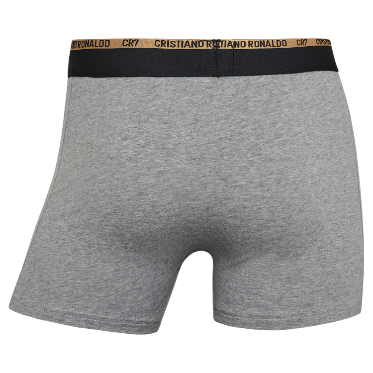 CR7 Trunks - 6 Pack Herren (multicolour)