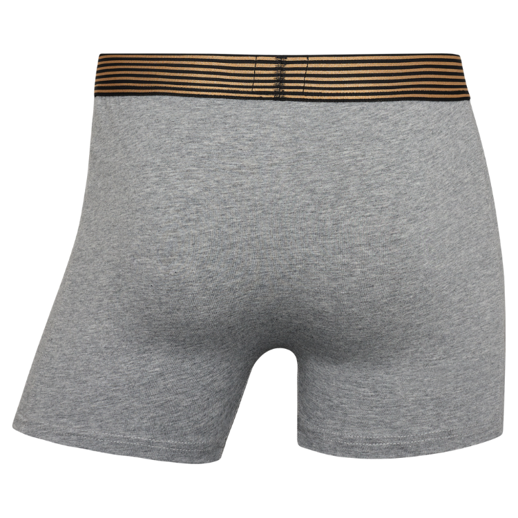 CR7 Trunks - 6 Pack Herren (multicolour)